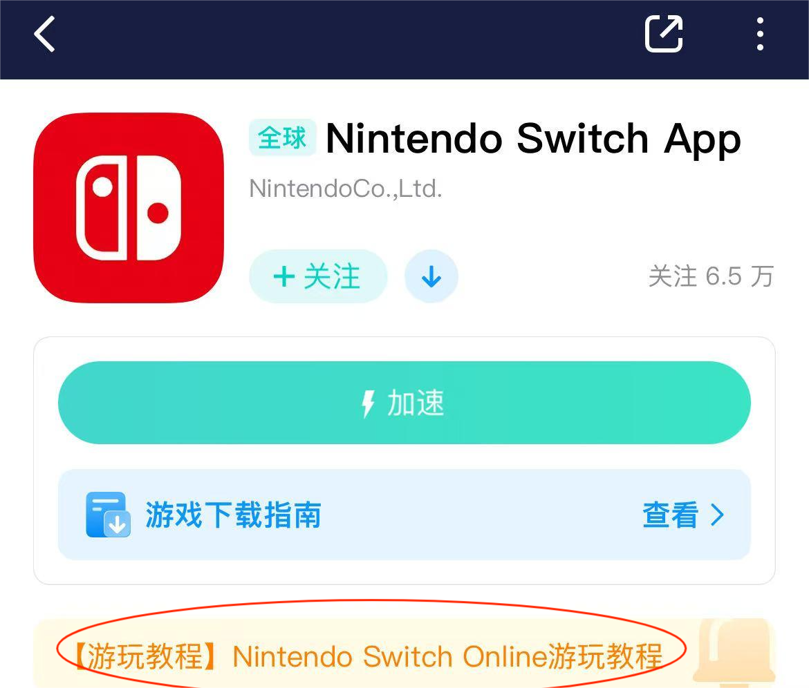 NSO下载教程-2