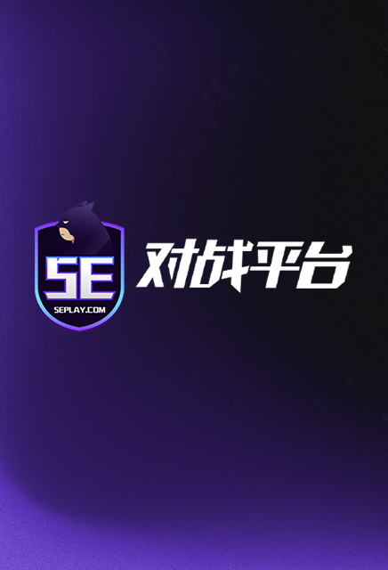 5E对战平台
